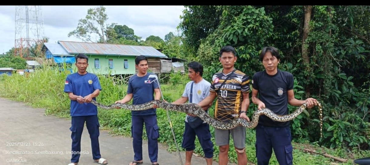 1768291463_WhatsApp Image 2026-01-13 at 15.03.17.jpeg